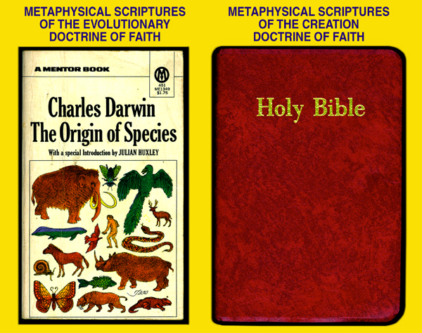 two bibles