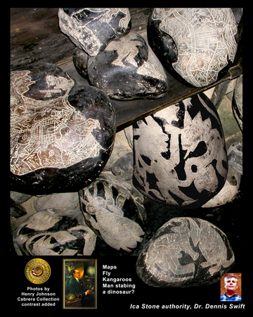 Maps,-Fly,-Many-Stones