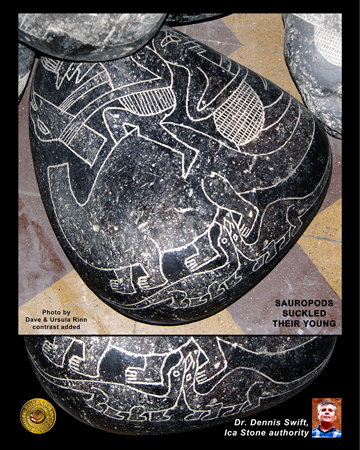 SAUROPOD-SUCKLING-YOUNG-2